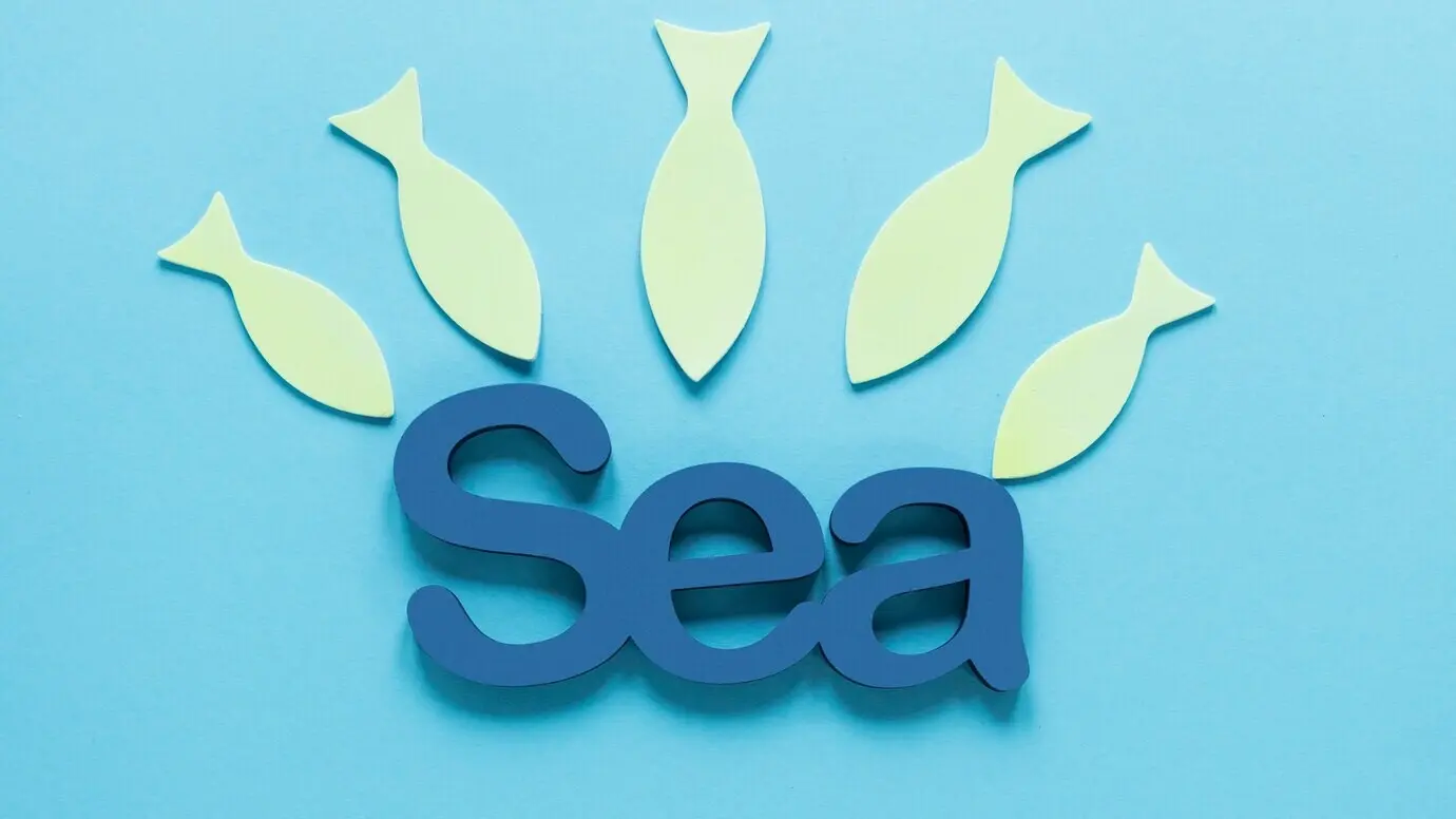 Draufsicht auf das Meer mit Papierfischen